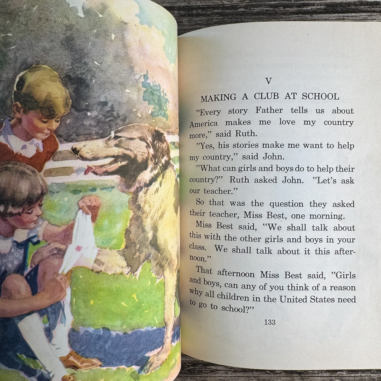 Your Land and Mine, Helen M. Brindl, 1940, Democracy Readers Series