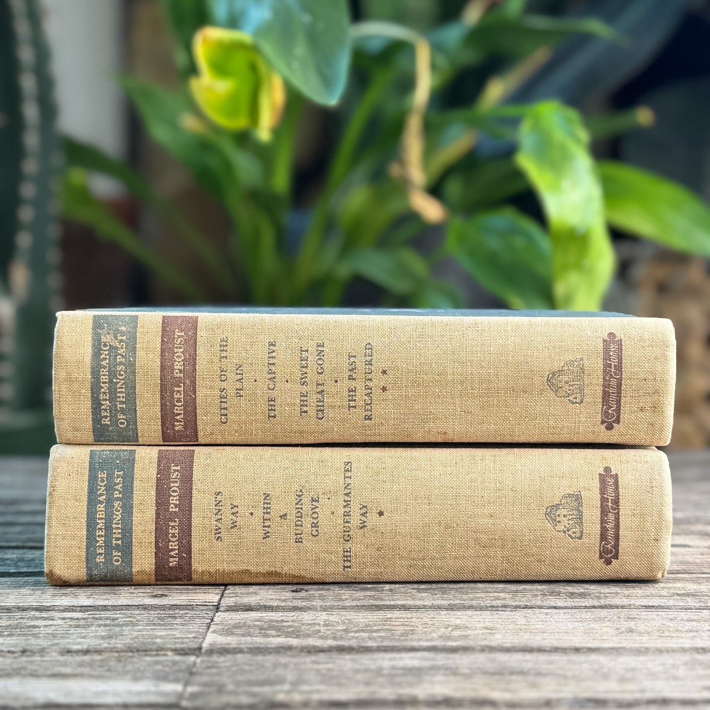Remembrance of Things Past, Marcel Proust, 2-Volume Vintage Book Set, 1934