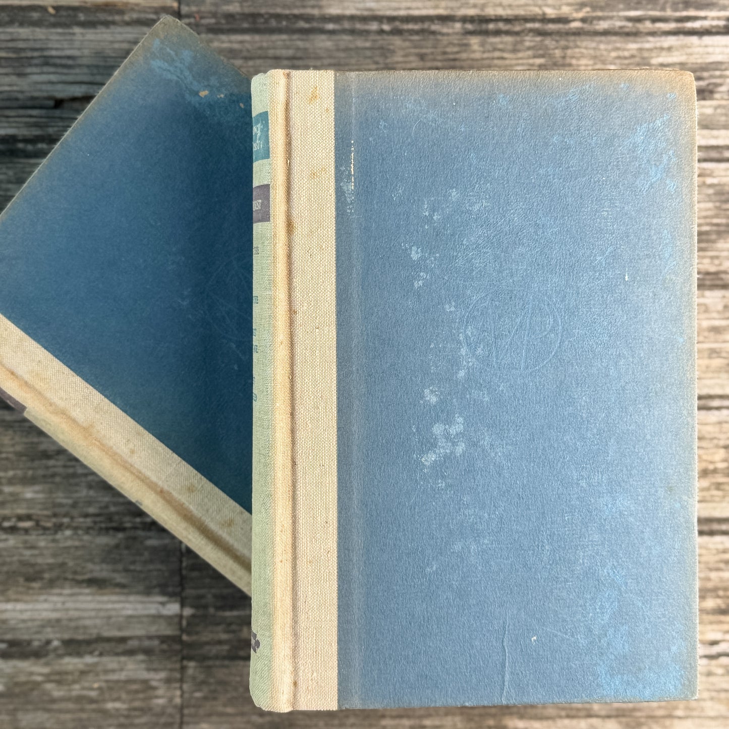 Remembrance of Things Past, Marcel Proust, 2-Volume Vintage Book Set, 1934