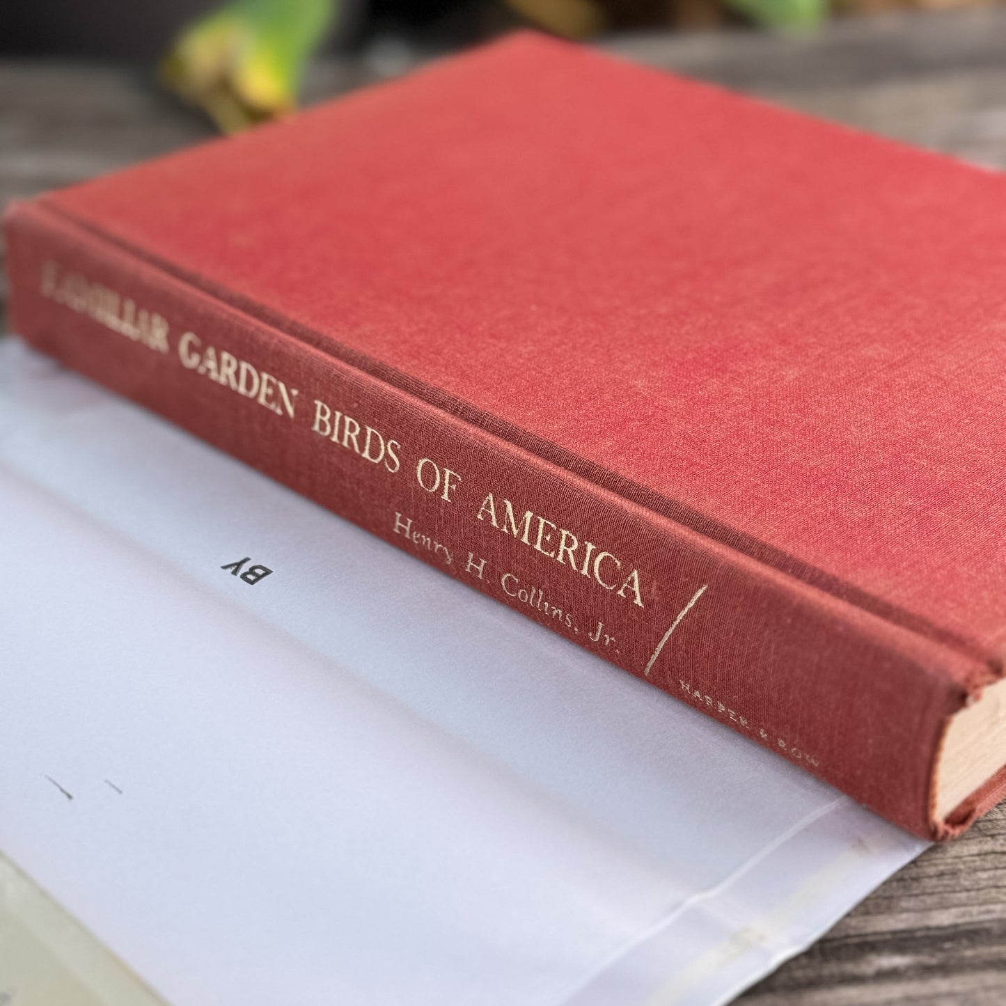 Familiar Garden Birds of America, Illustrated 1965 First Edition