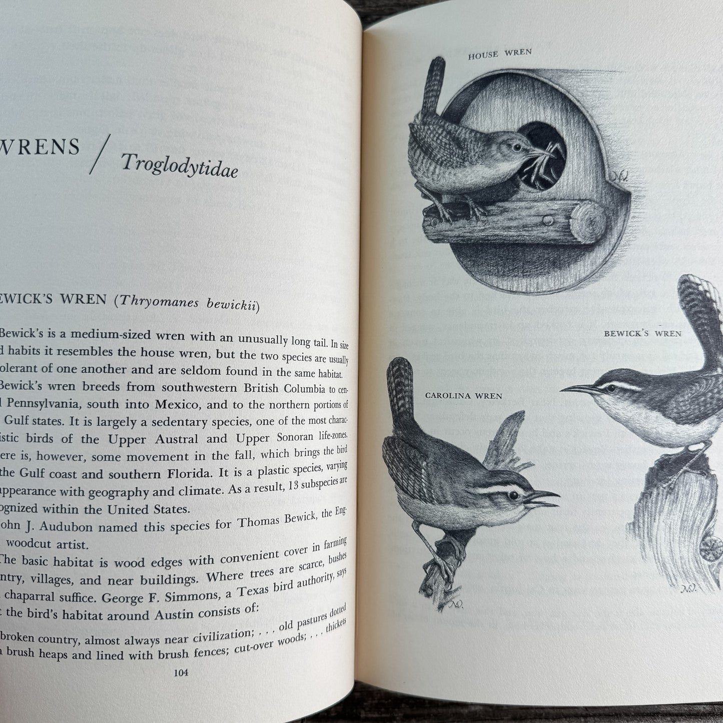 Familiar Garden Birds of America, Illustrated 1965 First Edition