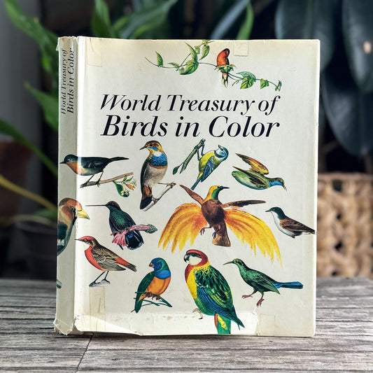 World Treasury of Birds in Color, Cecil Madsen, 1974 Ornate Illustrations