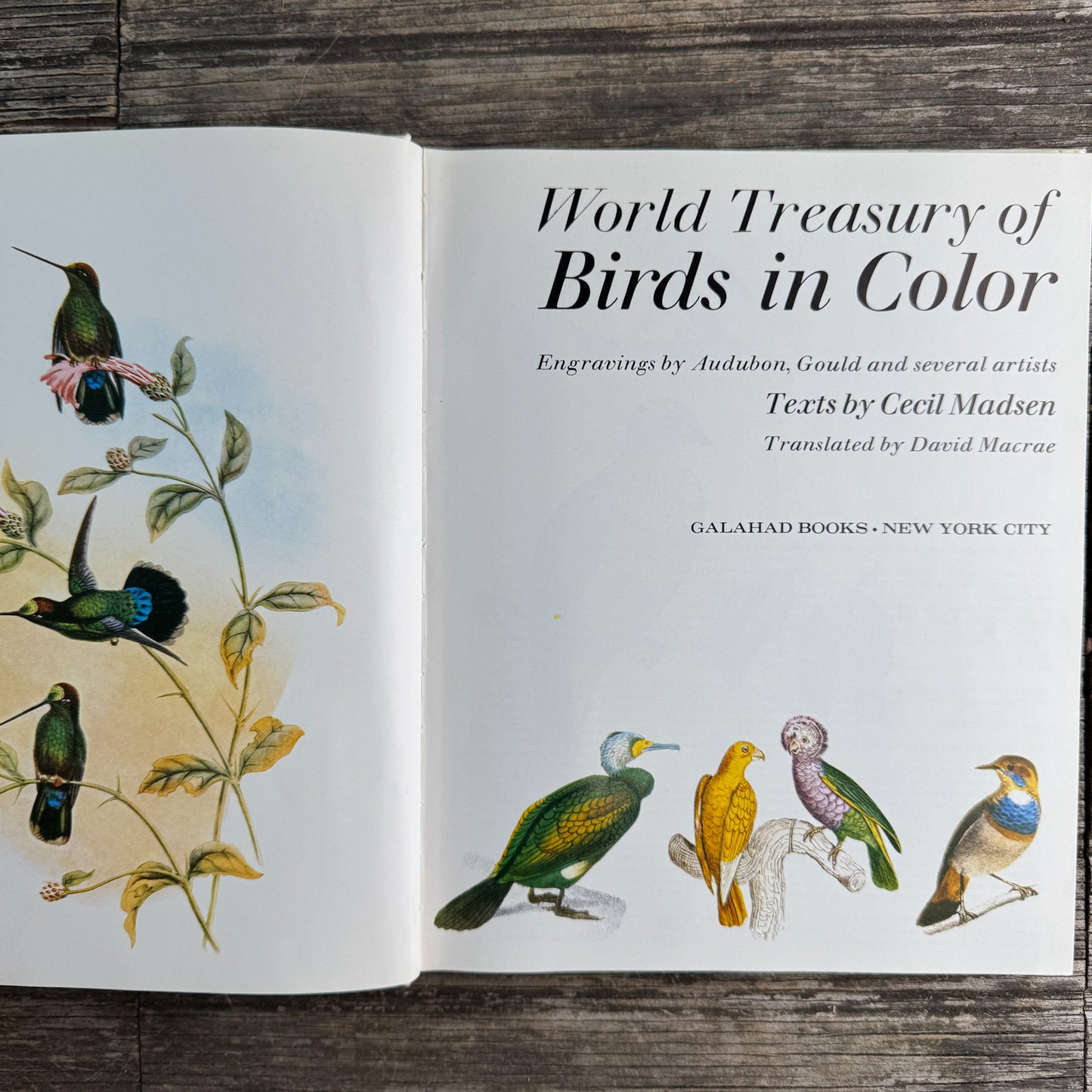 World Treasury of Birds in Color, Cecil Madsen, 1974 Ornate Illustrations