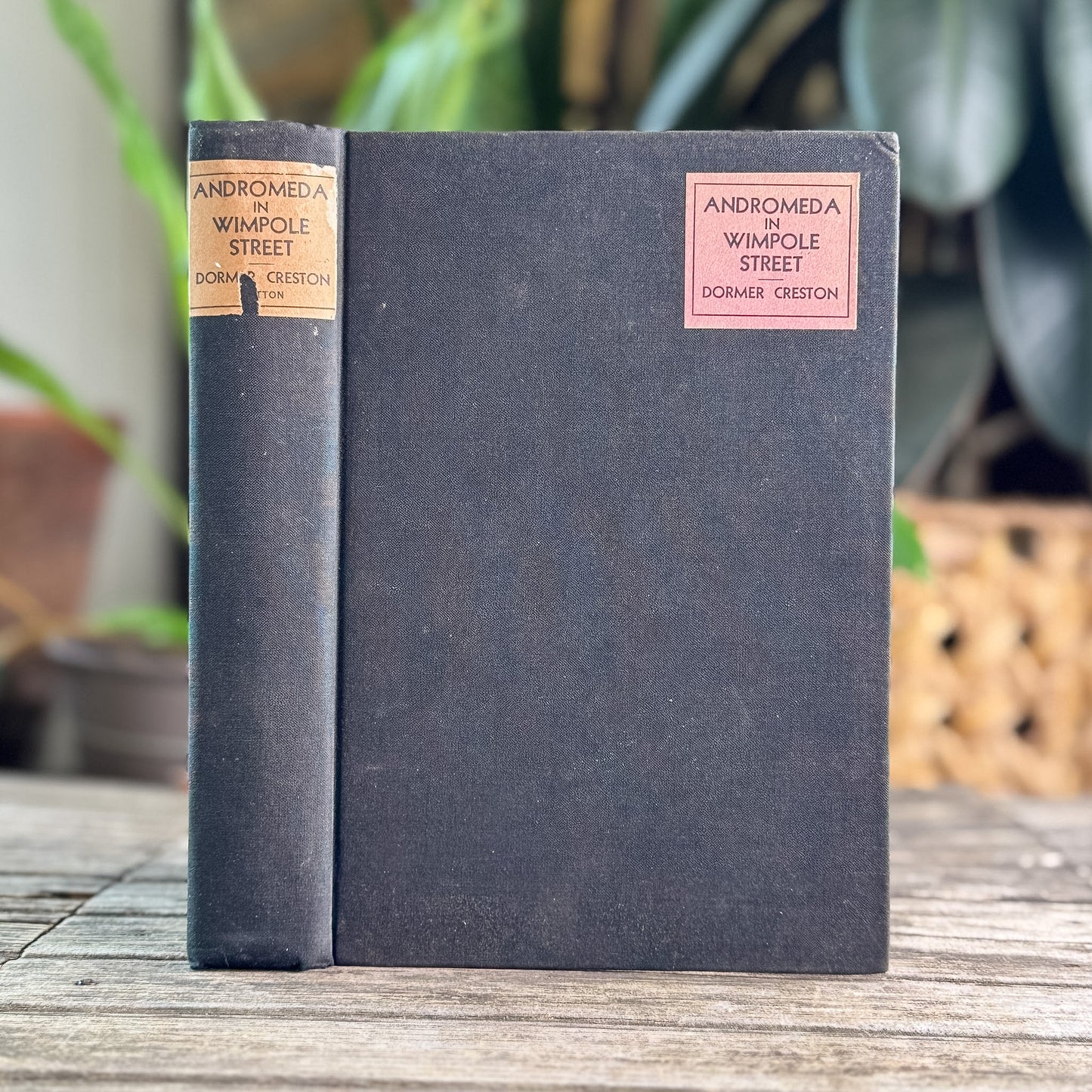 Andromeda in Wimpole Street: The Romance of Elizabeth Barrett Browning, 1932