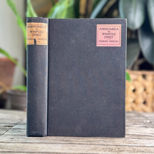 Andromeda in Wimpole Street: The Romance of Elizabeth Barrett Browning, 1932