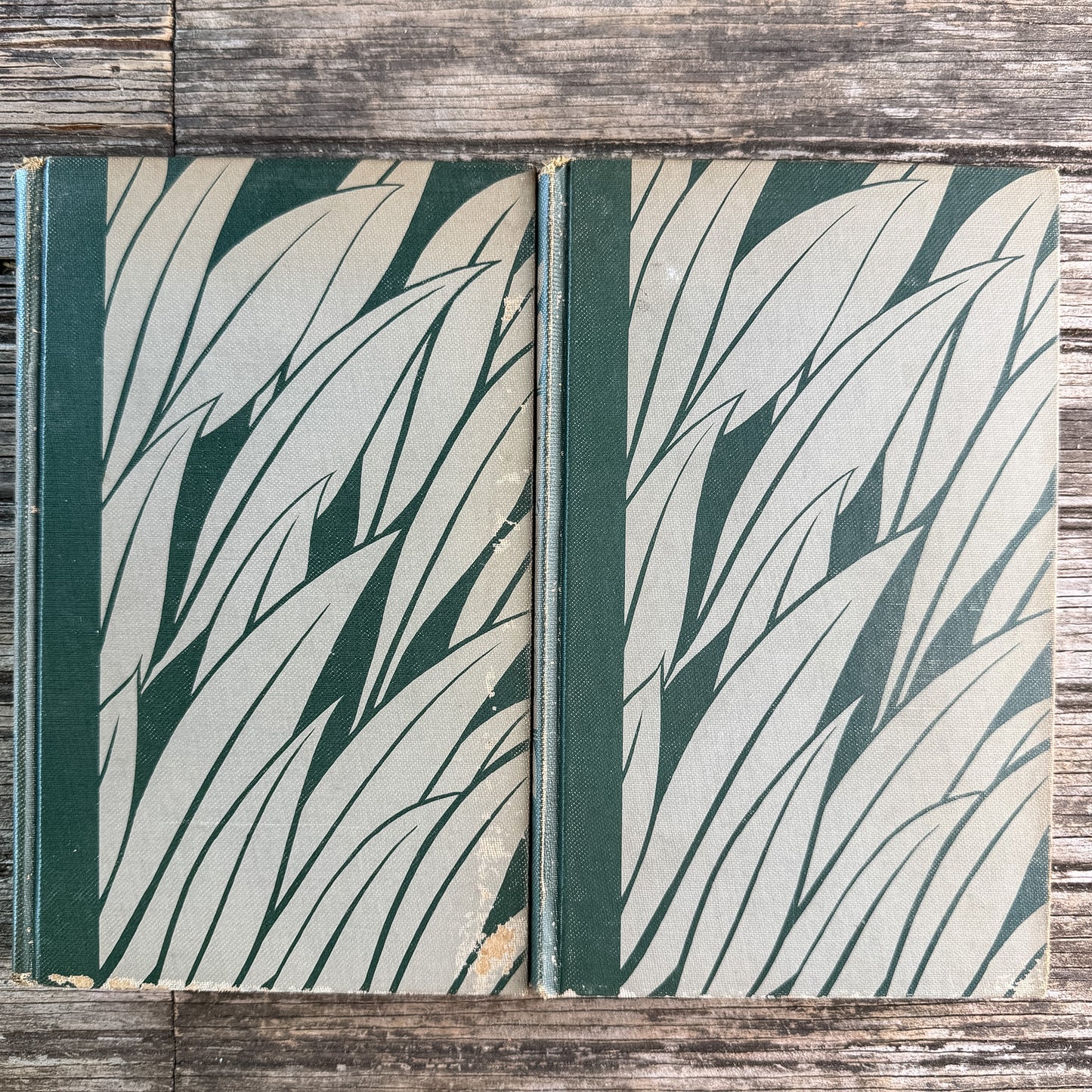 The Jungle Book and The Second Jungle Book, Rudyard Kipling, Two-Volume Set, 1948