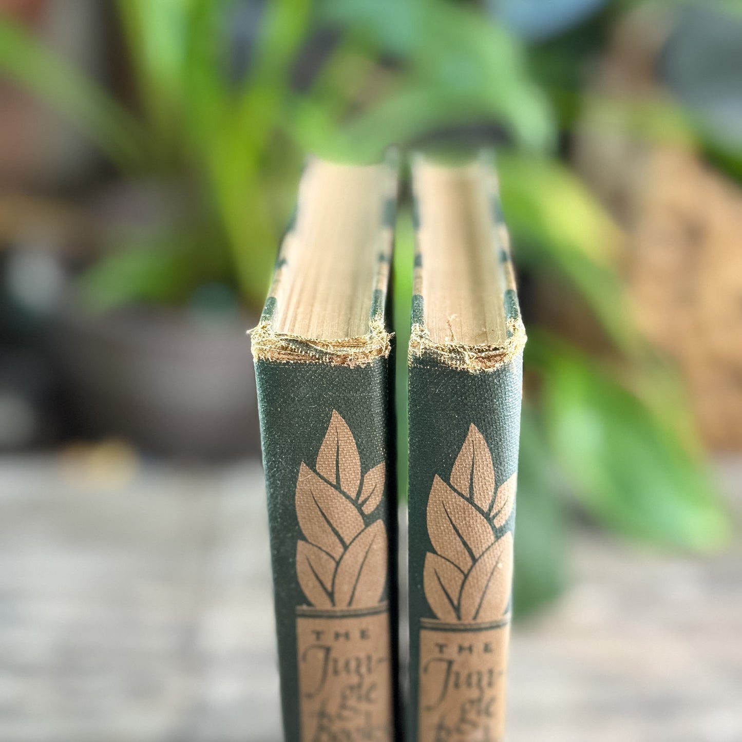 The Jungle Book and The Second Jungle Book, Rudyard Kipling, Two-Volume Set, 1948