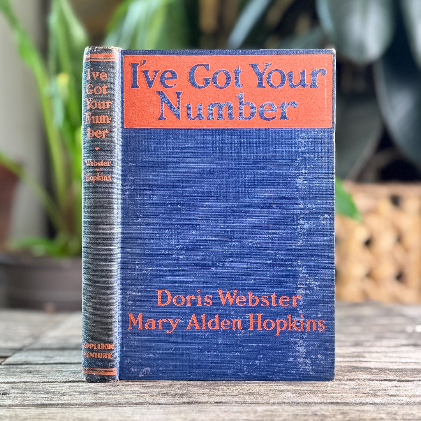 I've Got Your Number: A Book of Self-Analysis, 1927