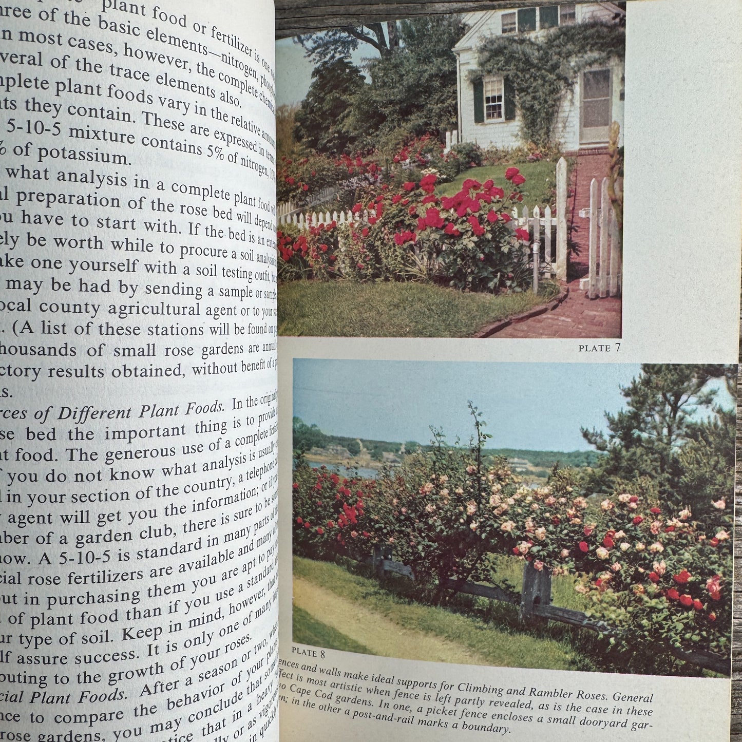The Rockwells' Complete Book of Roses, F. F. Rockwell and Esther C. Grayson, 1958