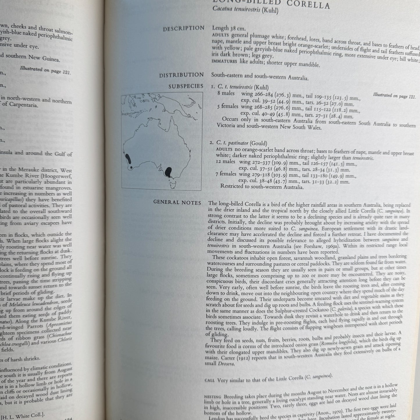 Parrots of the World, Joseph M. Forshaw, 1977
