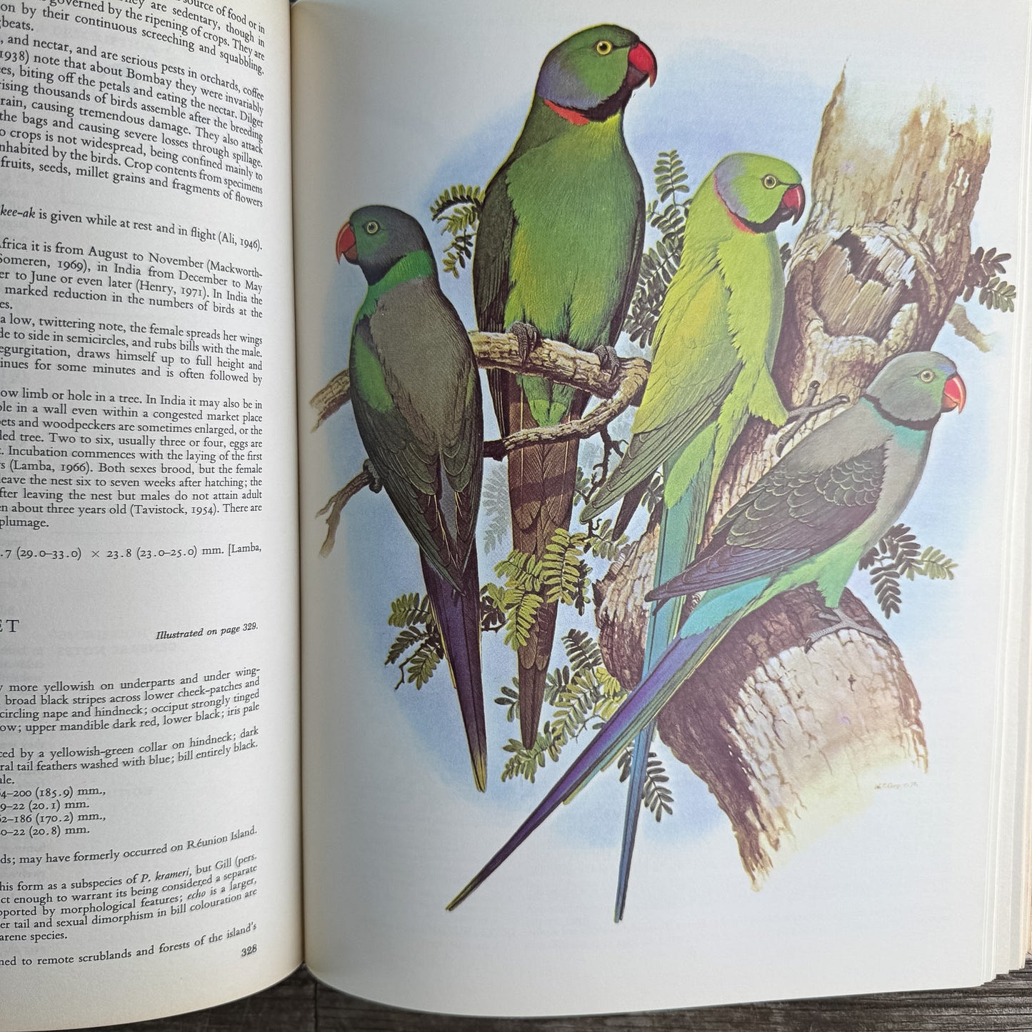 Parrots of the World, Joseph M. Forshaw, 1977