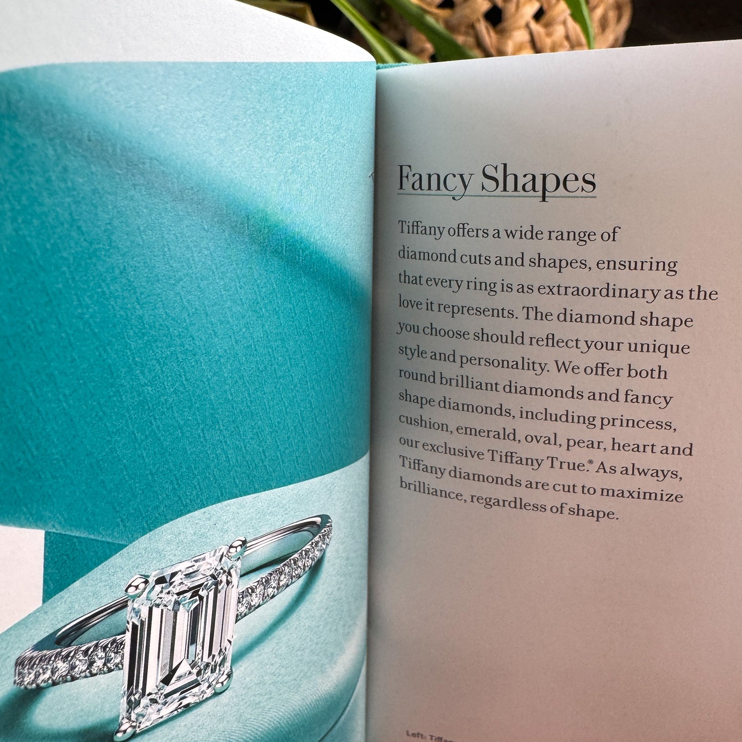 Legendary Diamonds, Tiffany & Co., 2023