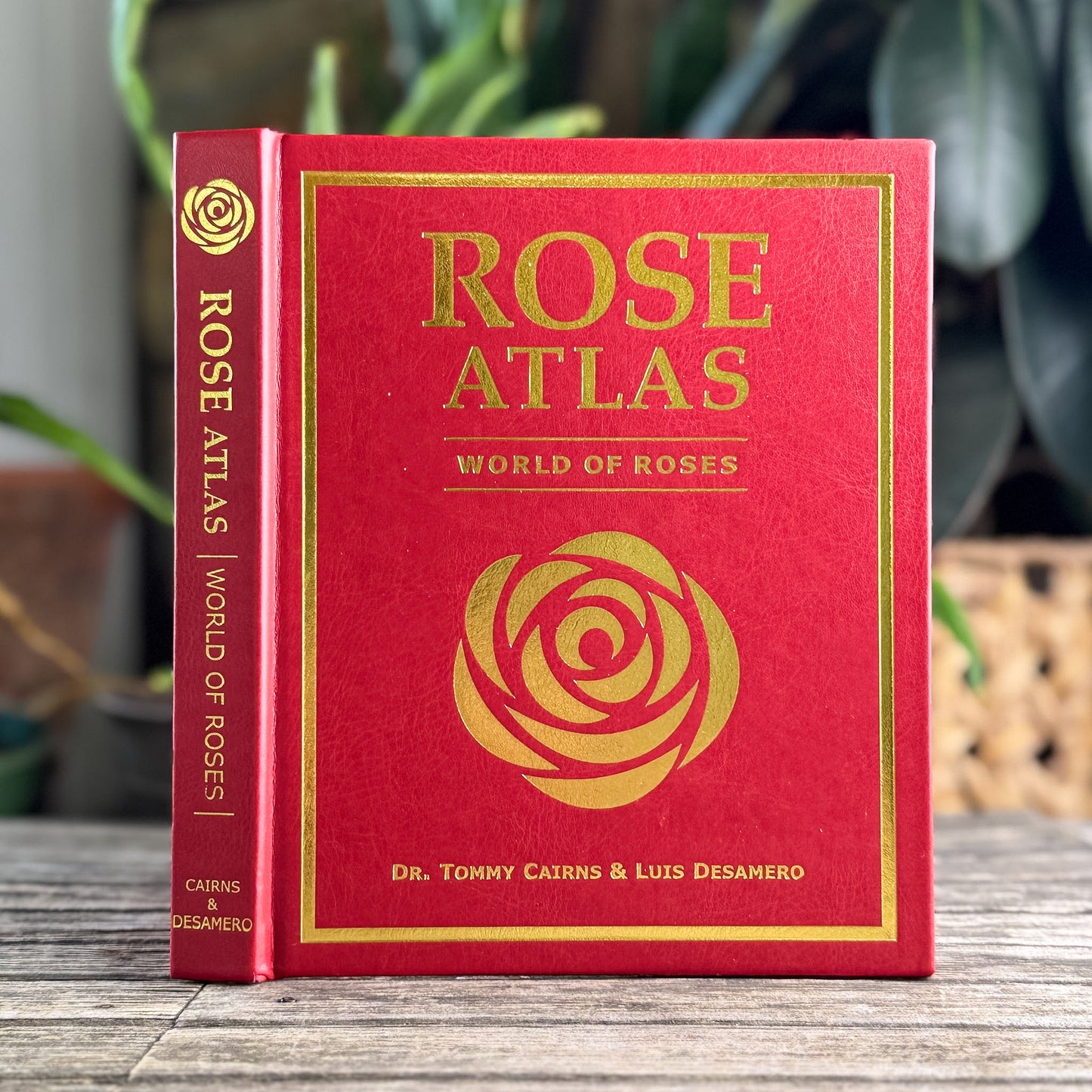 Rose Atlas: World of Roses, Tommy Cairns and Luis Desamero, 2022