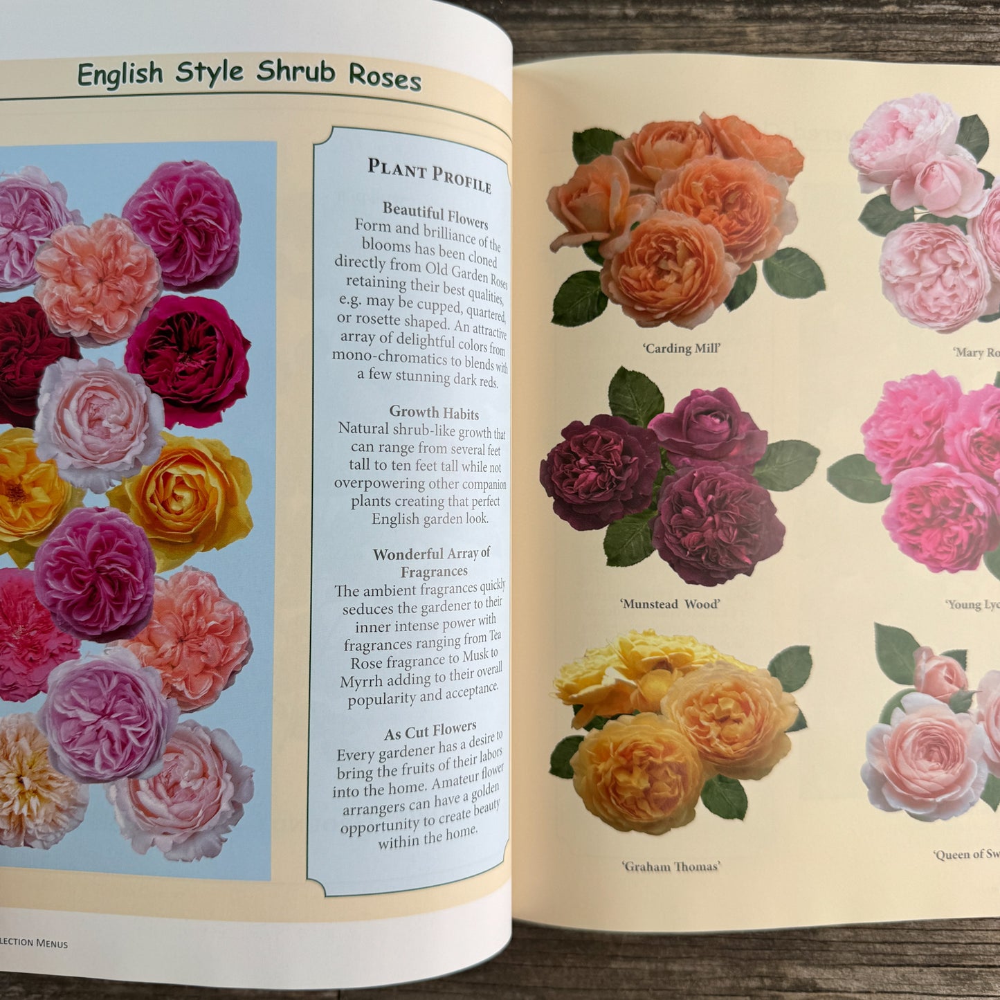 Rose Atlas: World of Roses, Tommy Cairns and Luis Desamero, 2022