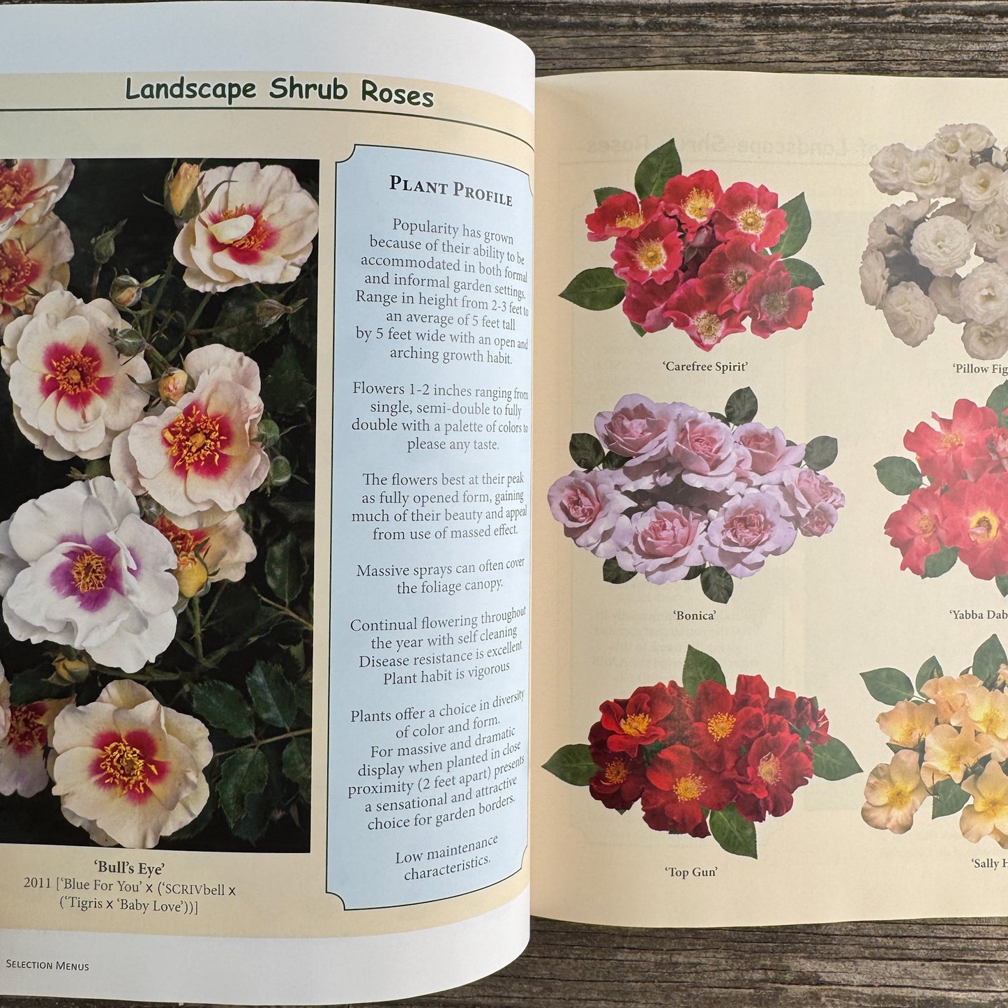 Rose Atlas: World of Roses, Tommy Cairns and Luis Desamero, 2022