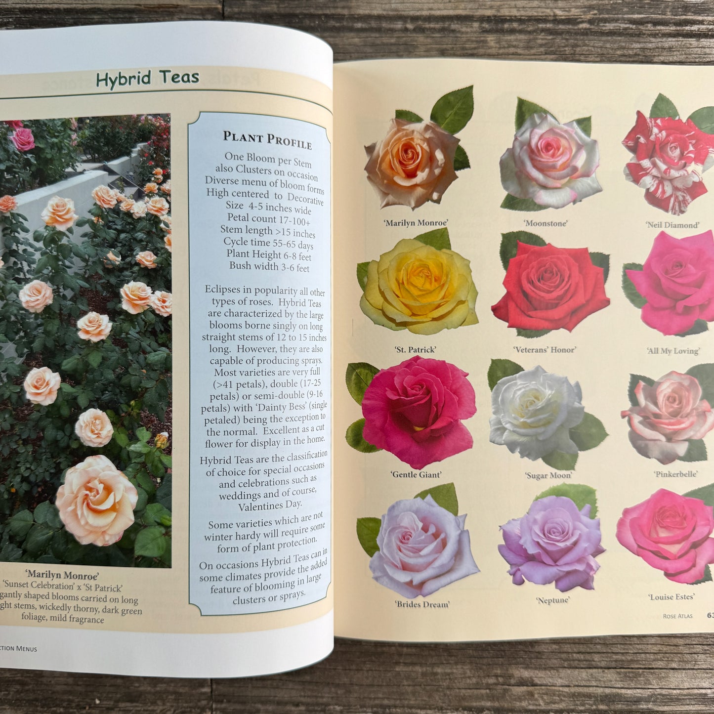 Rose Atlas: World of Roses, Tommy Cairns and Luis Desamero, 2022