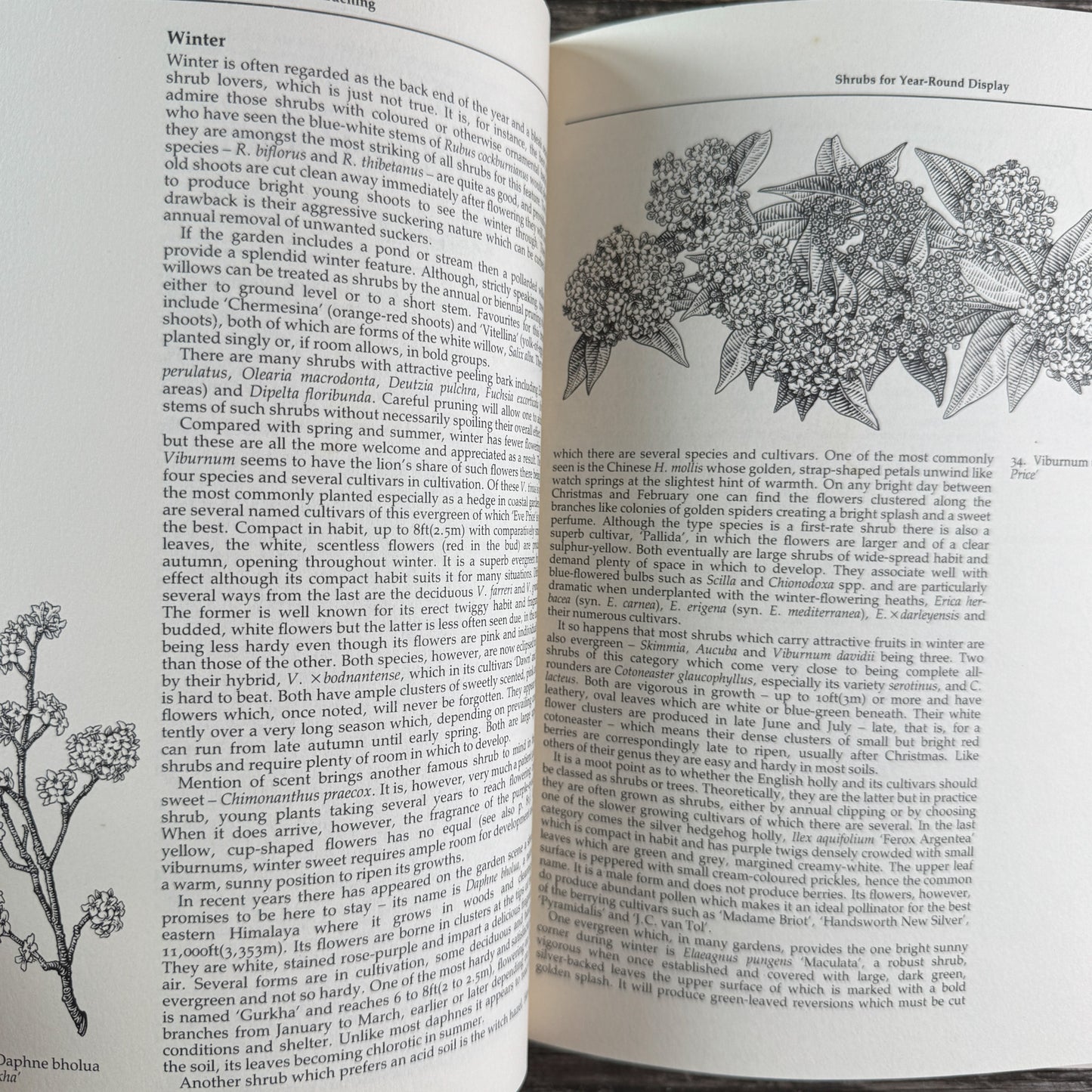 The Wisley Book of Gardening, Royal Horticultural Society, 1983 First American Edition