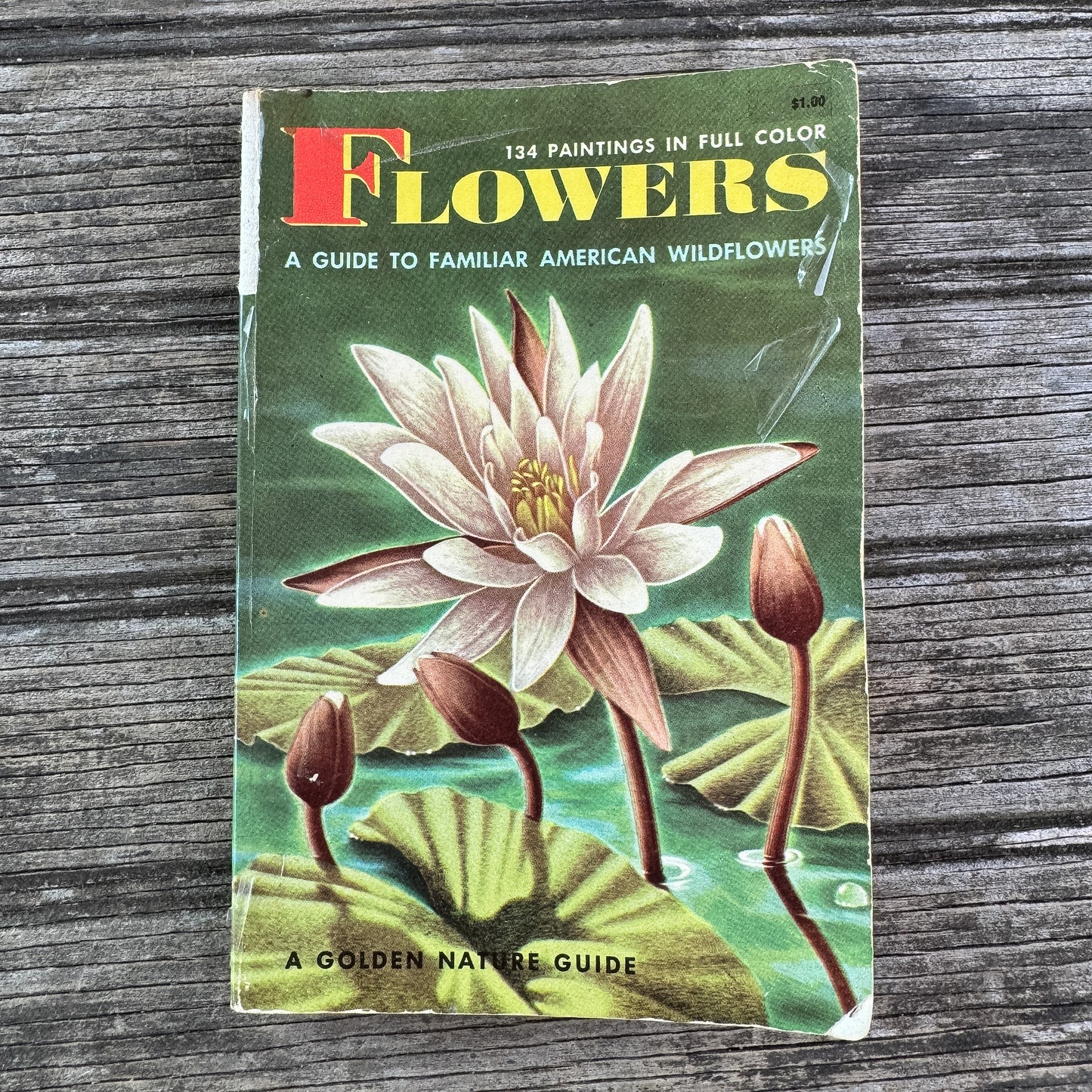Flowers, A Golden Guide, 1964