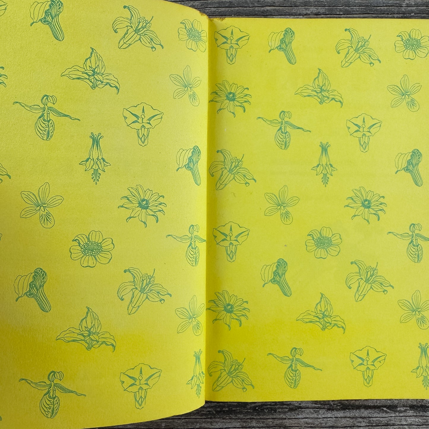 Flowers, A Golden Guide, 1964