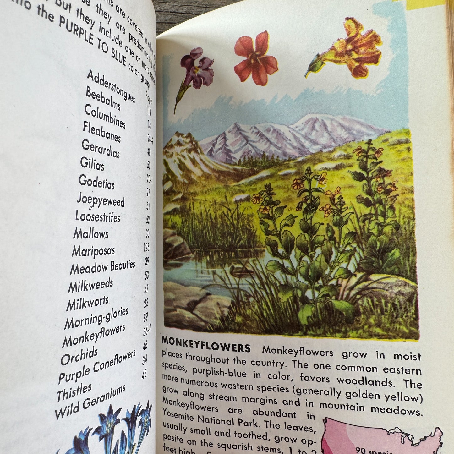 Flowers, A Golden Guide, 1964