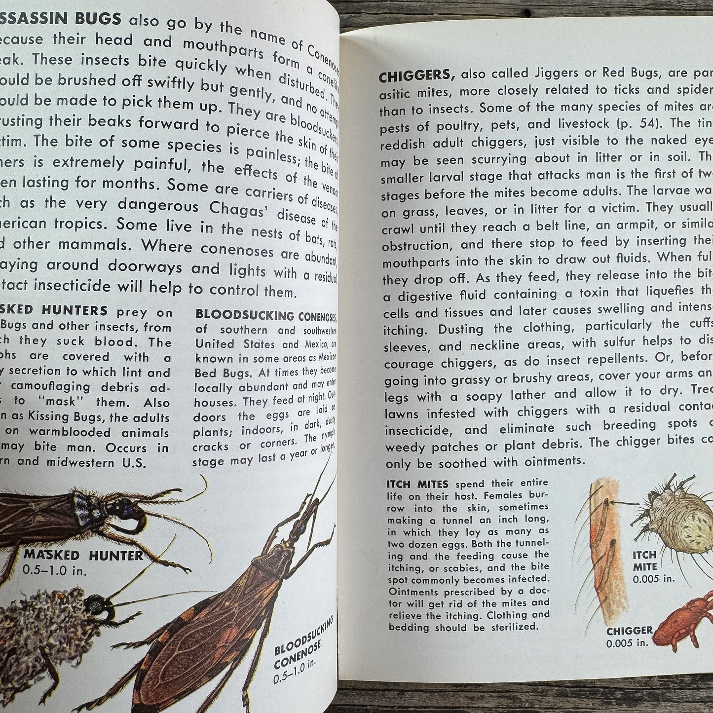 Insect Pests, A Golden Guide, 1966