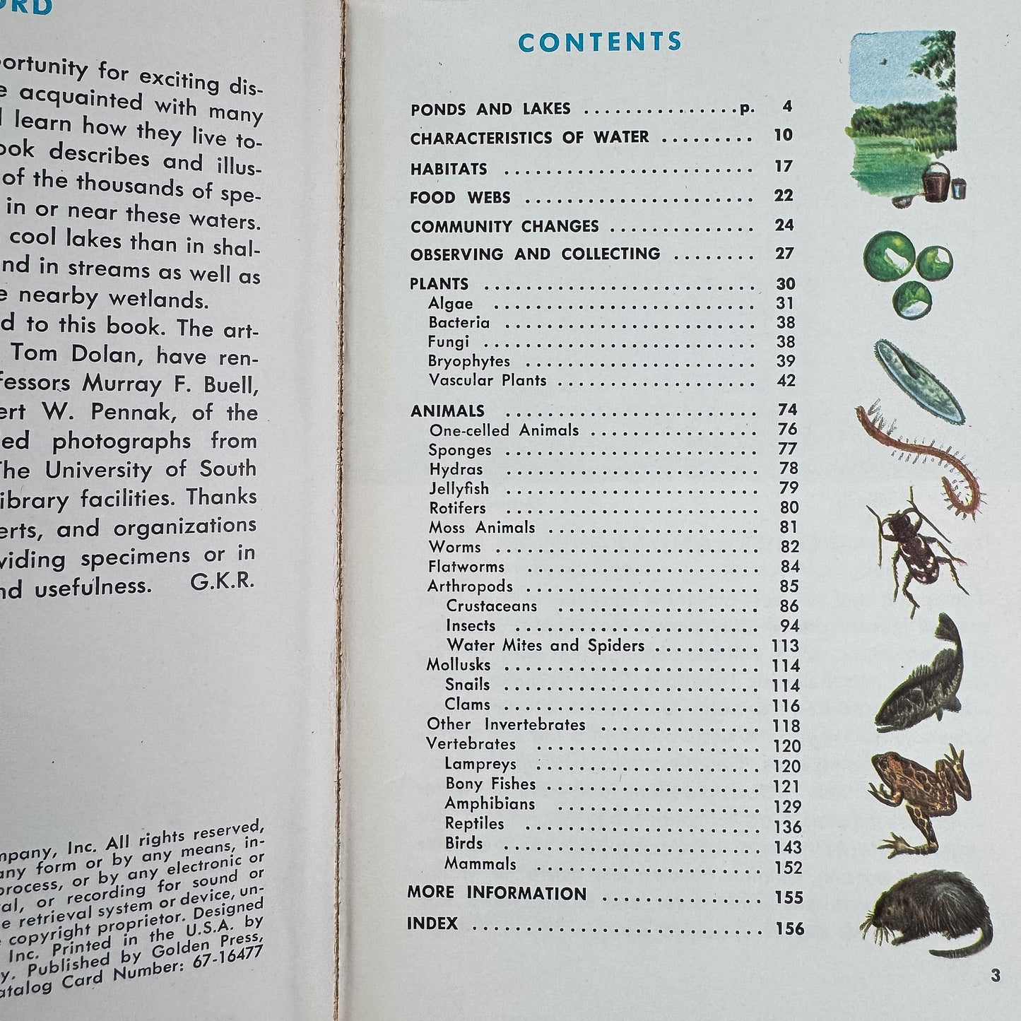 Pond Life, A Golden Guide, 1967