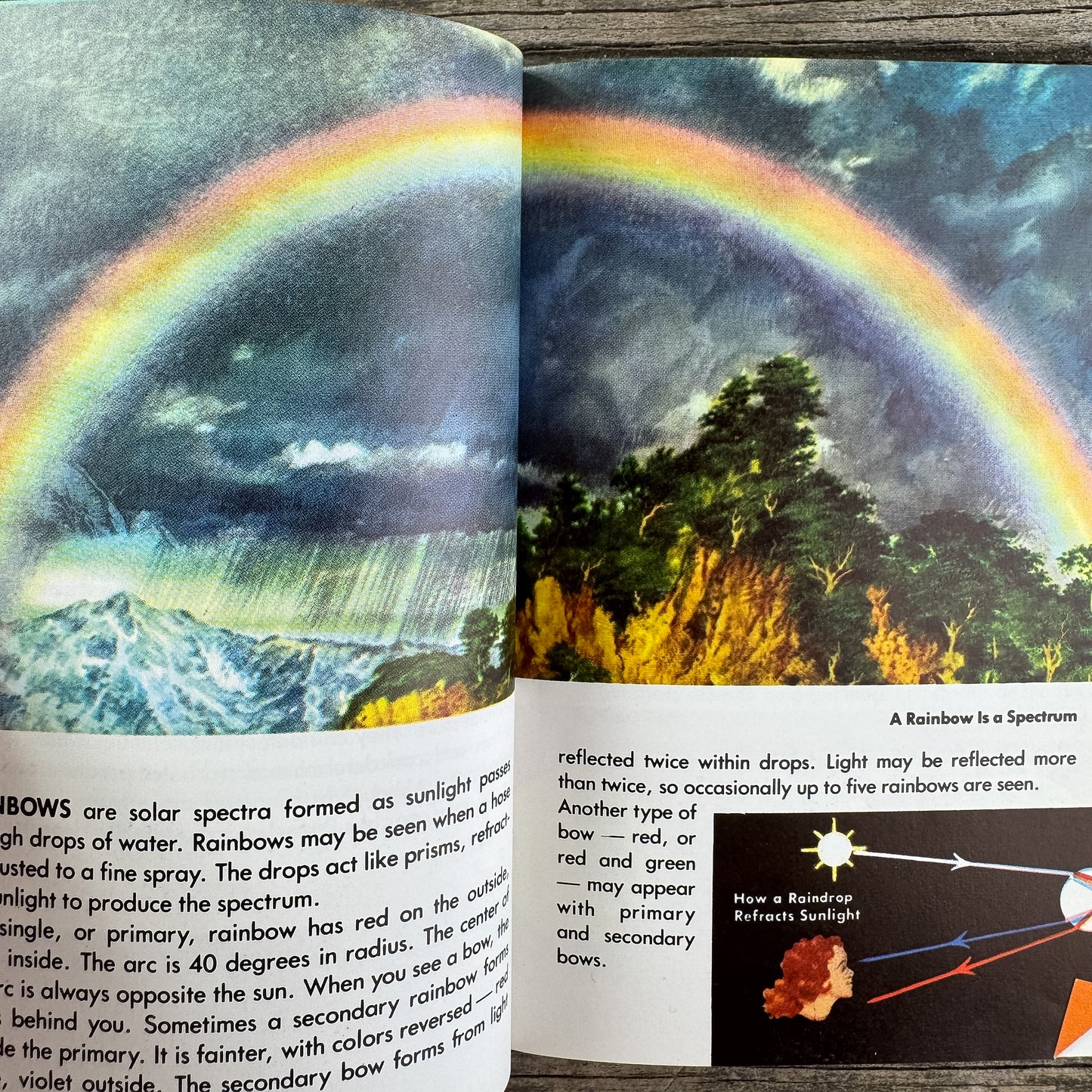 Stars, A Golden Guide, 1985