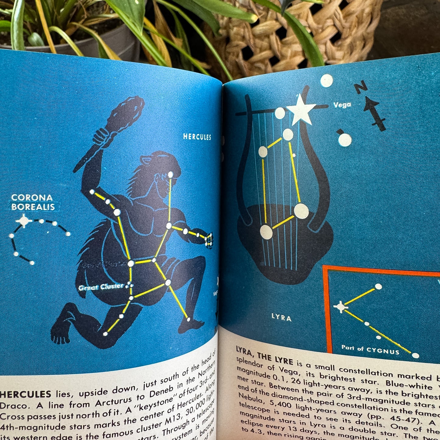 Stars, A Golden Guide, 1985