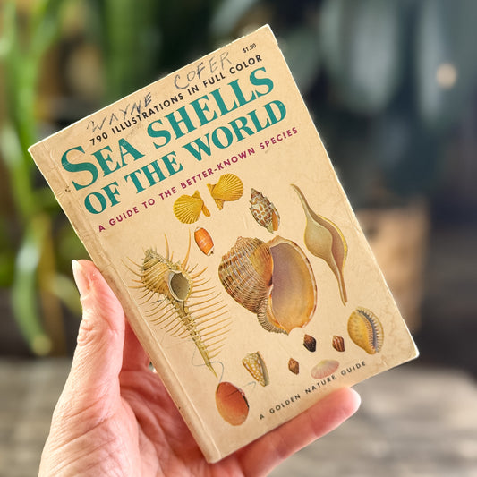 Sea Shells of the World, A Golden Guide, 1962
