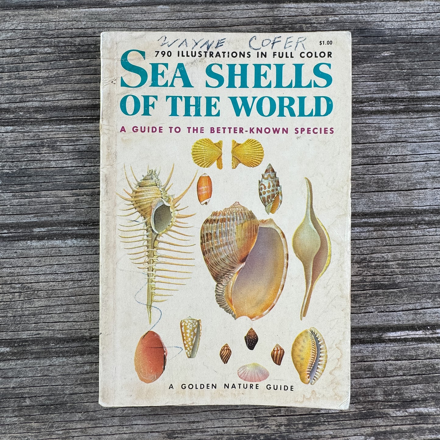 Sea Shells of the World, A Golden Guide, 1962