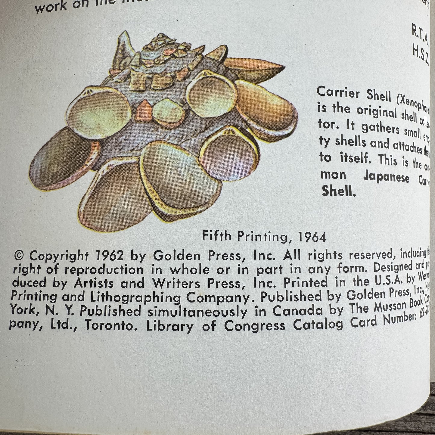 Sea Shells of the World, A Golden Guide, 1962