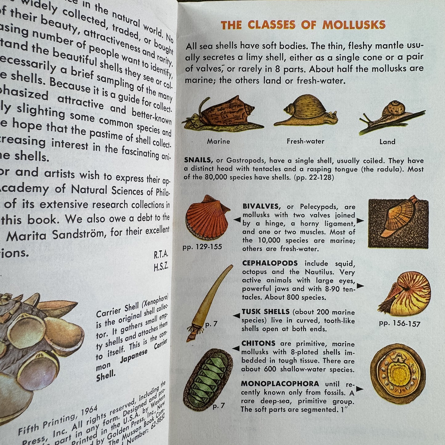 Sea Shells of the World, A Golden Guide, 1962