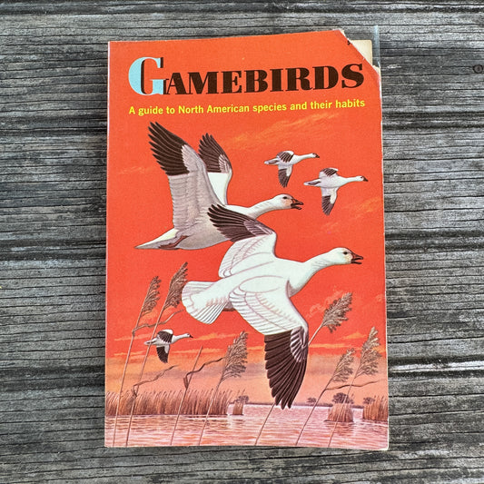 Game Birds, A Golden Guide, 1961