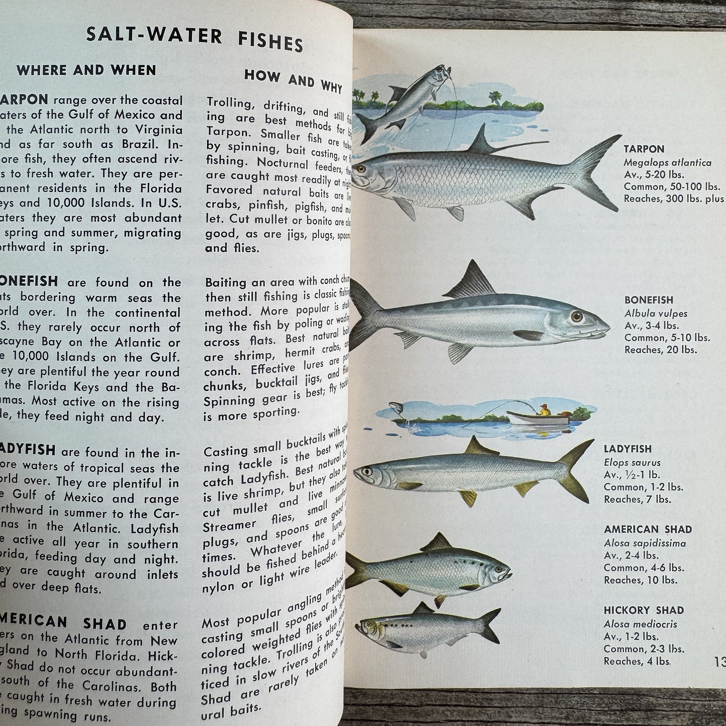 Fishing, A Golden Guide, 1965