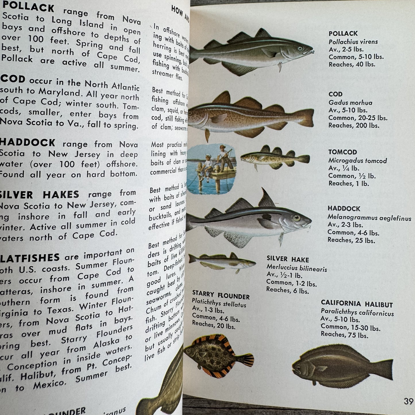 Fishing, A Golden Guide, 1965