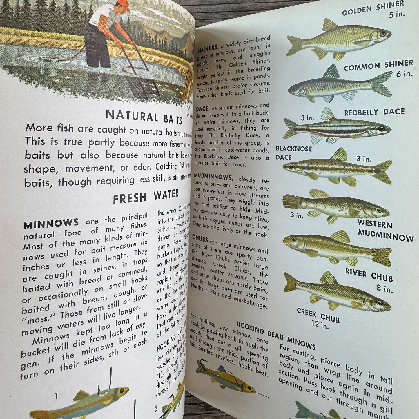 Fishing, A Golden Guide, 1965