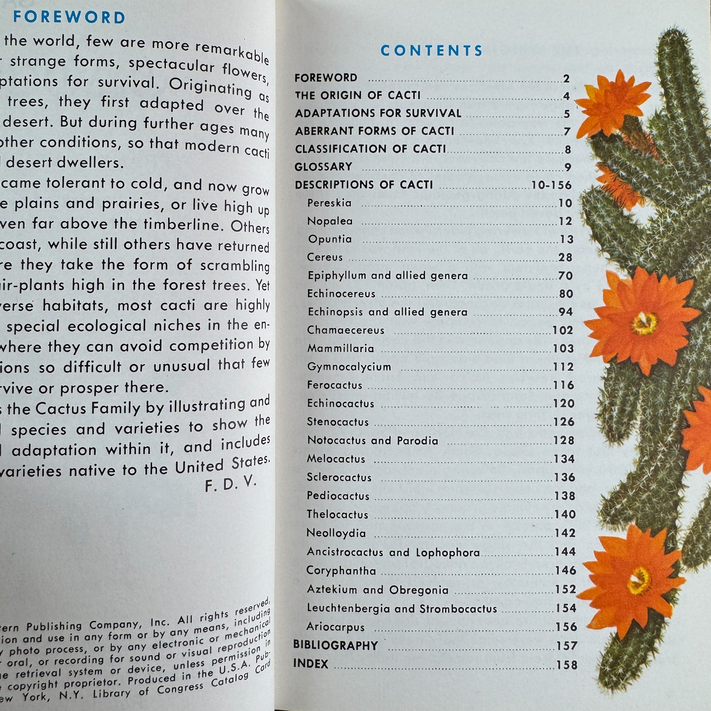Cacti, A Golden Guide, 1974