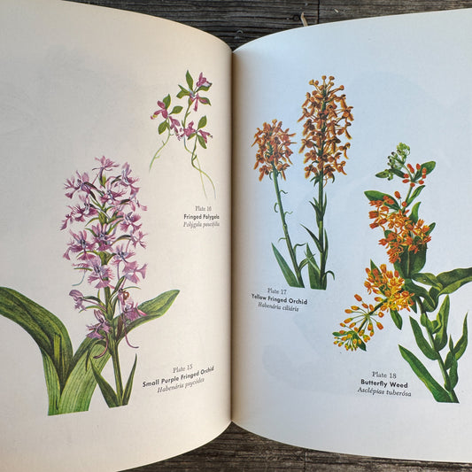 Wild Flowers and How to Grow Them, 50 Color Flower Illustrations, 1963
