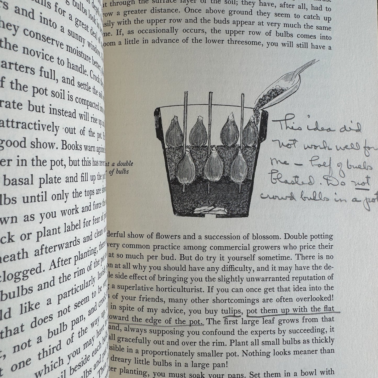 Making Things Grow, 1969 Illustrated Indoor Gardening Guide