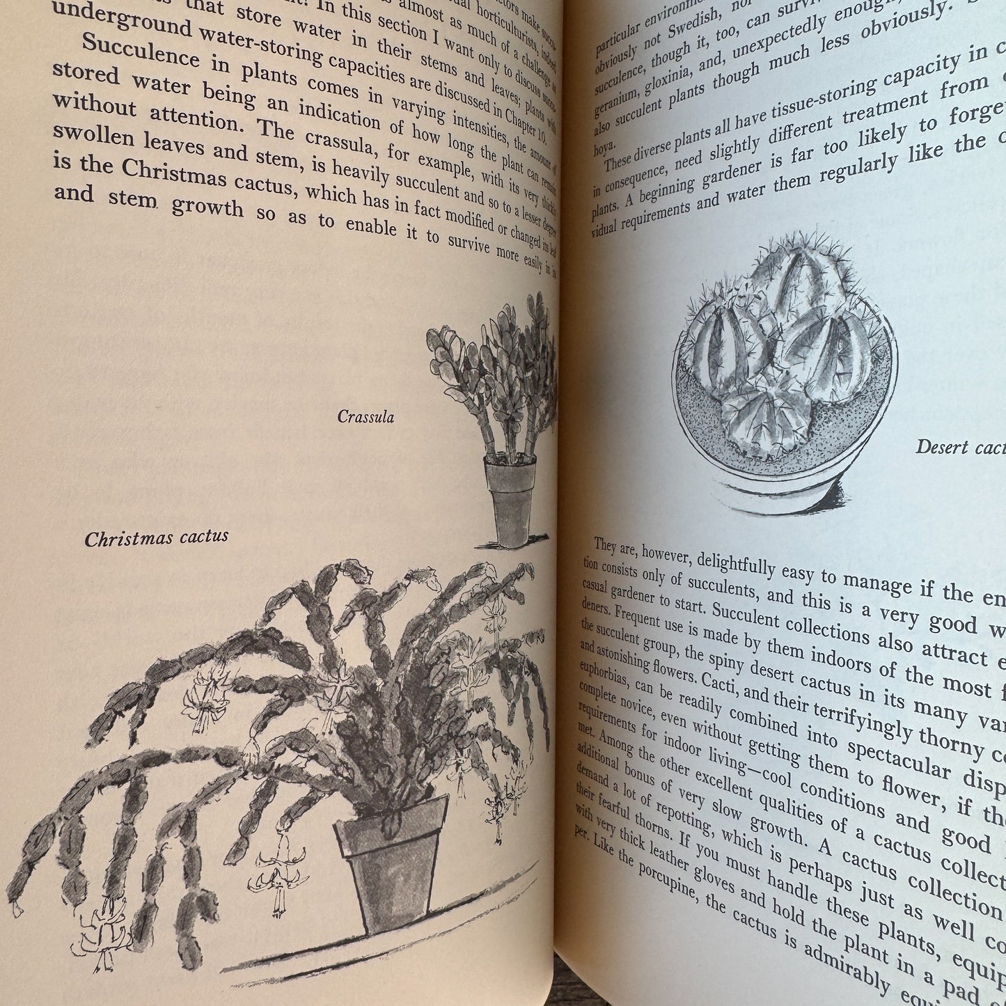 Making Things Grow, 1969 Illustrated Indoor Gardening Guide