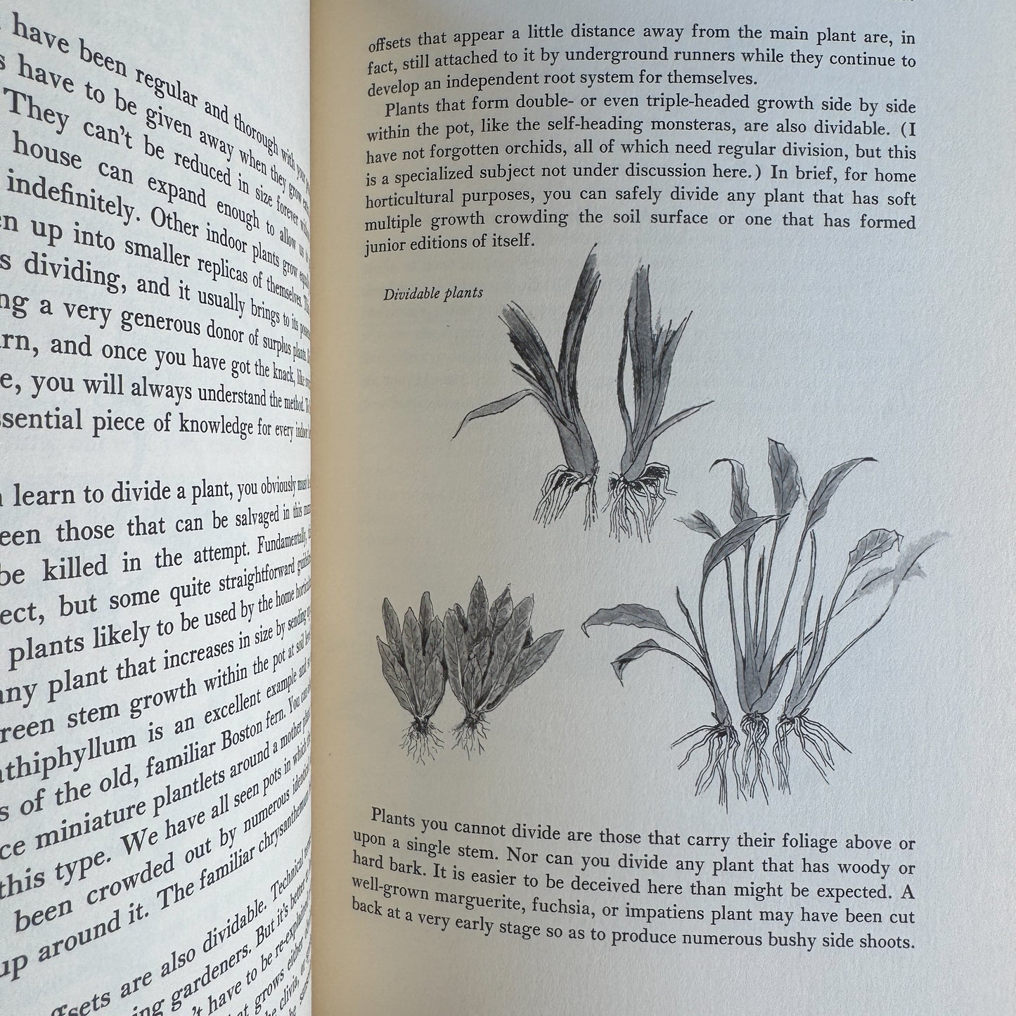 Making Things Grow, 1969 Illustrated Indoor Gardening Guide