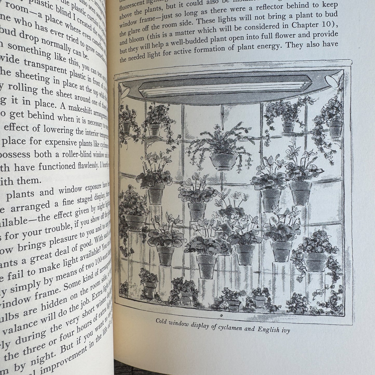 Making Things Grow, 1969 Illustrated Indoor Gardening Guide