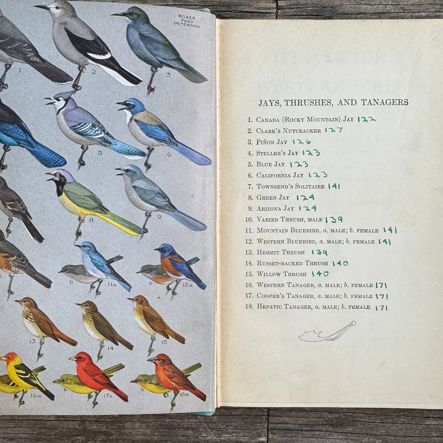 A Field Guide to Western Birds, Roger Tory Peterson, 1941