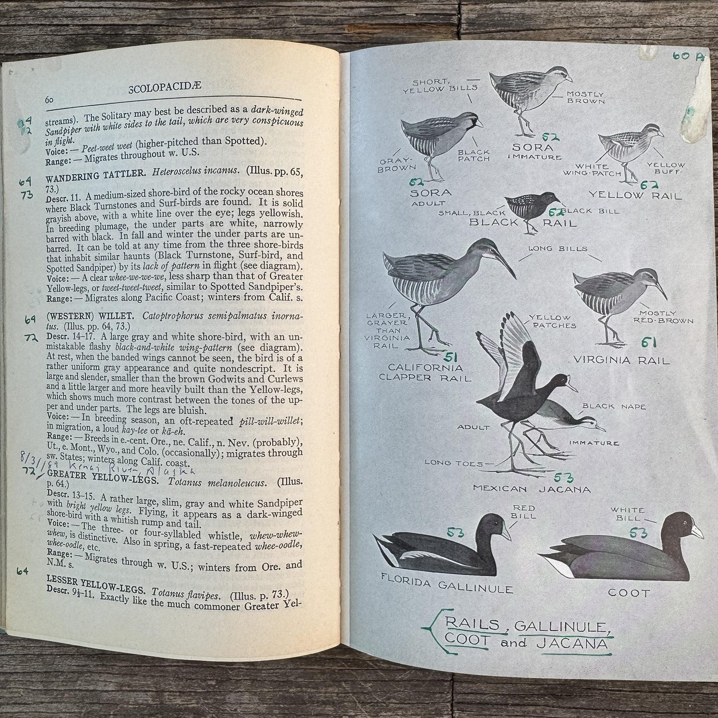 A Field Guide to Western Birds, Roger Tory Peterson, 1941