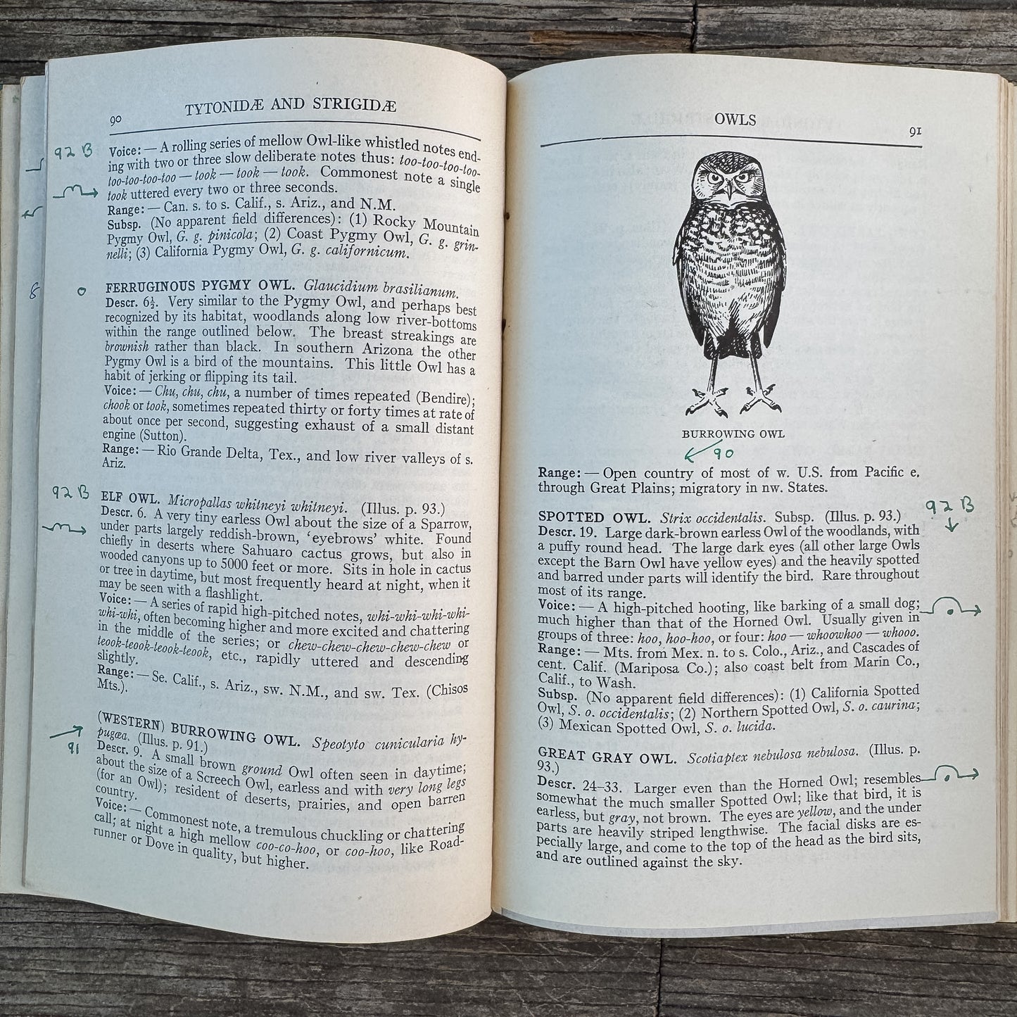 A Field Guide to Western Birds, Roger Tory Peterson, 1941