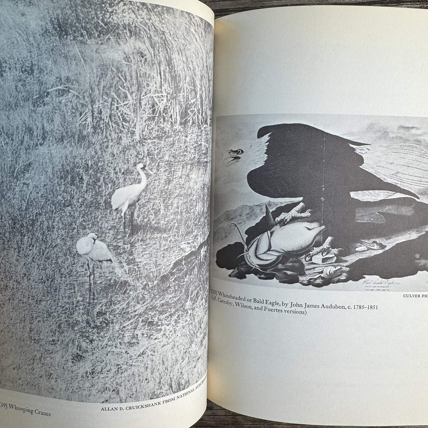 A Treasury of Birdlore, Edited by Joseph Wood Krutch and Paul S. Eriksson, 1962
