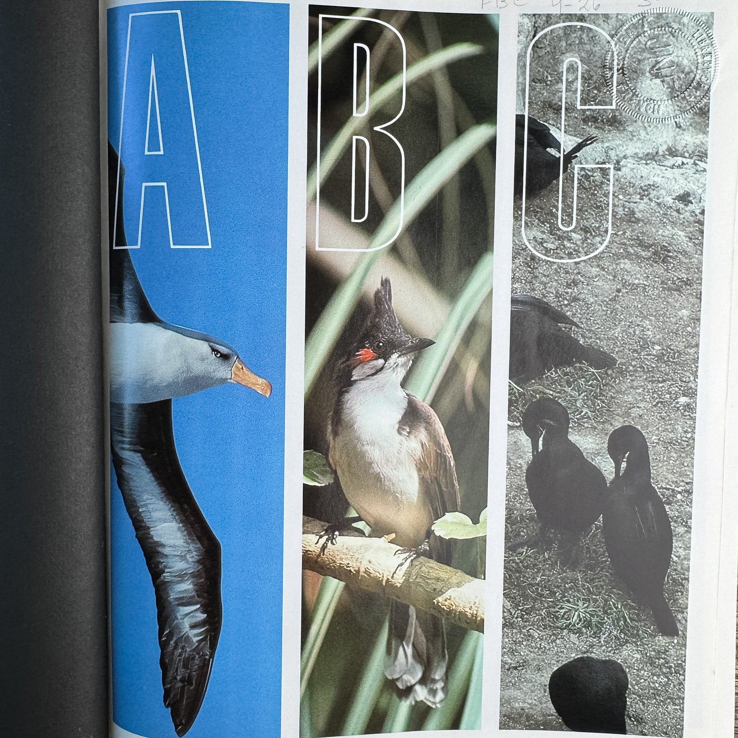 The Audubon Society Encyclopedia of North American Birds, John K. Terres, 1980
