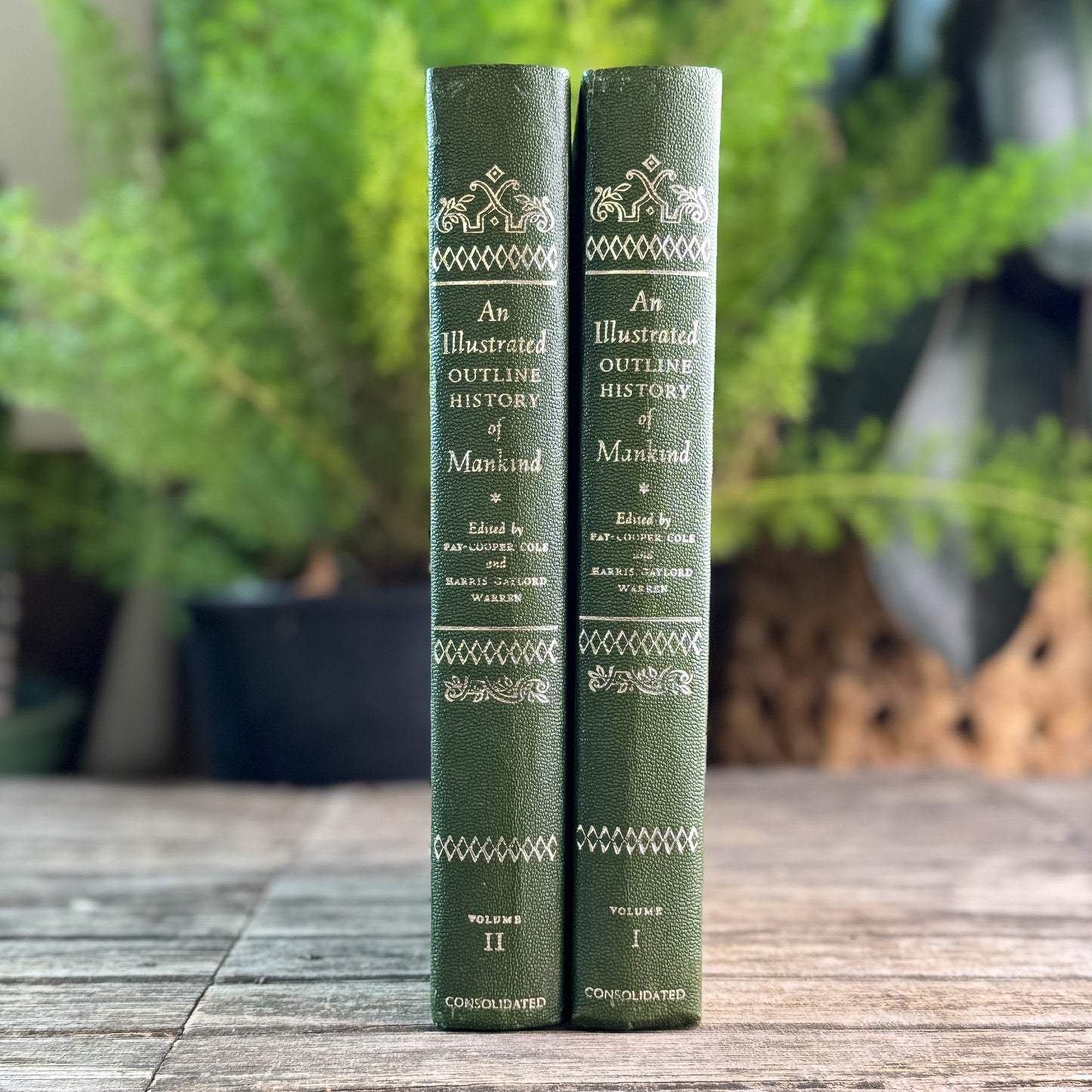 An Illustrated Outline History of Mankind, Two-Volume Set, Edited by Fay-Cooper Cole and Harris Gaylord Warren, 1974 New Revised Edition