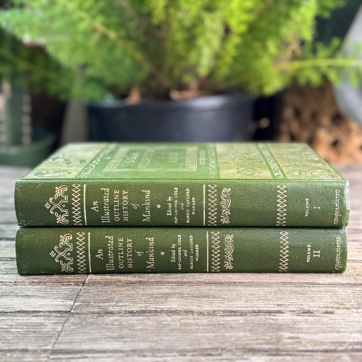 An Illustrated Outline History of Mankind, Two-Volume Set, Edited by Fay-Cooper Cole and Harris Gaylord Warren, 1974 New Revised Edition