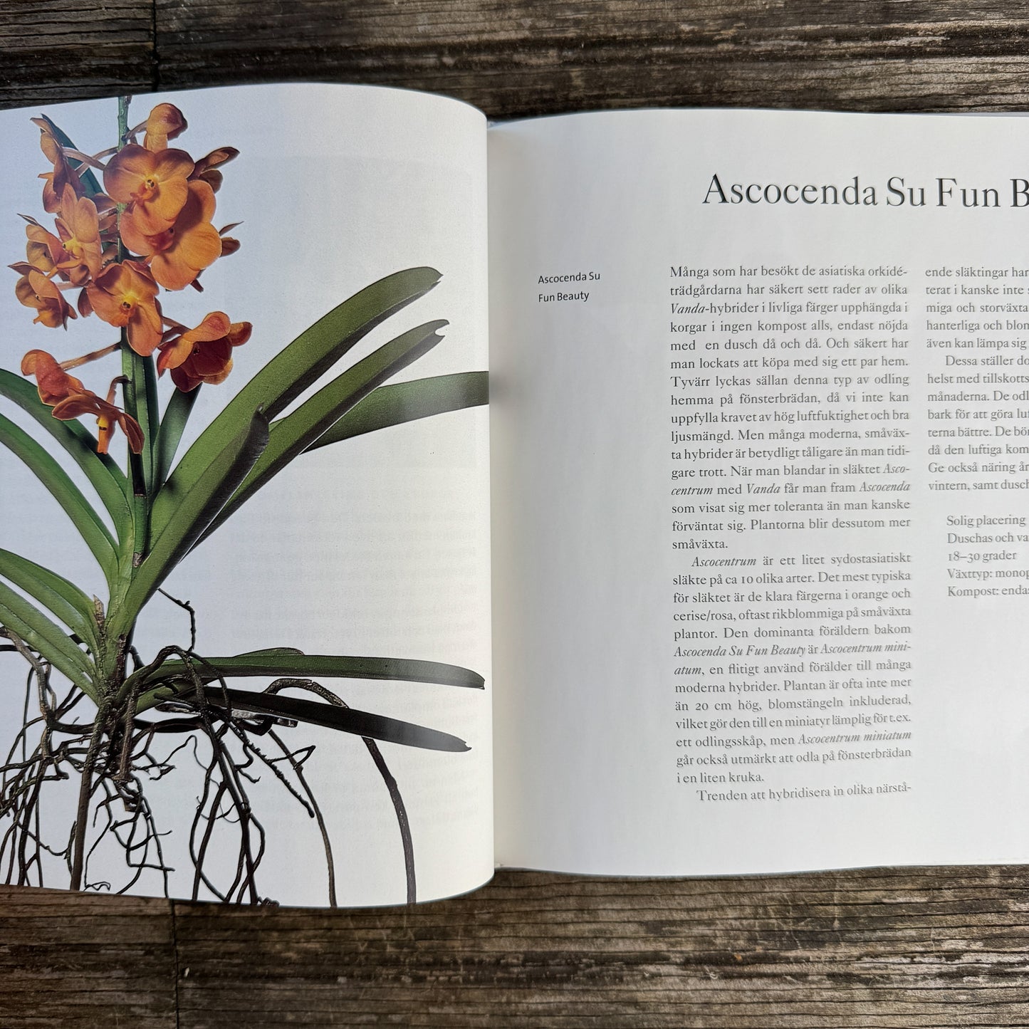 Bedårande Orkidéer, Swedish Orchid Guide, 2002 Hardcover